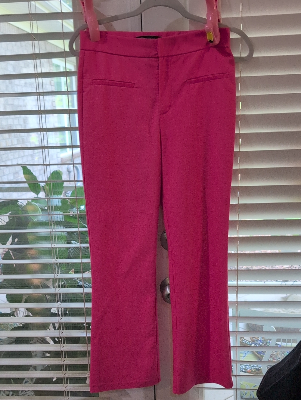 Zara Bright Pink Medium Pants